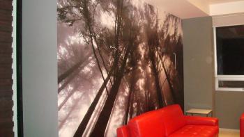 FOTOMURALES  PERSONALIZADOS (Muebles y Decoraci�n), en mexico, DISTRITO FEDERAL