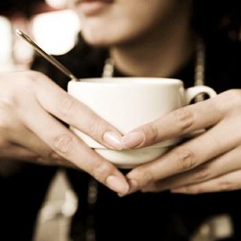 Coffee Break y Box Lunch para Empresas | Catering DF | Servicio de Alimentos par (Servicios de Negocios), en M�xico, DISTRITO FEDERAL